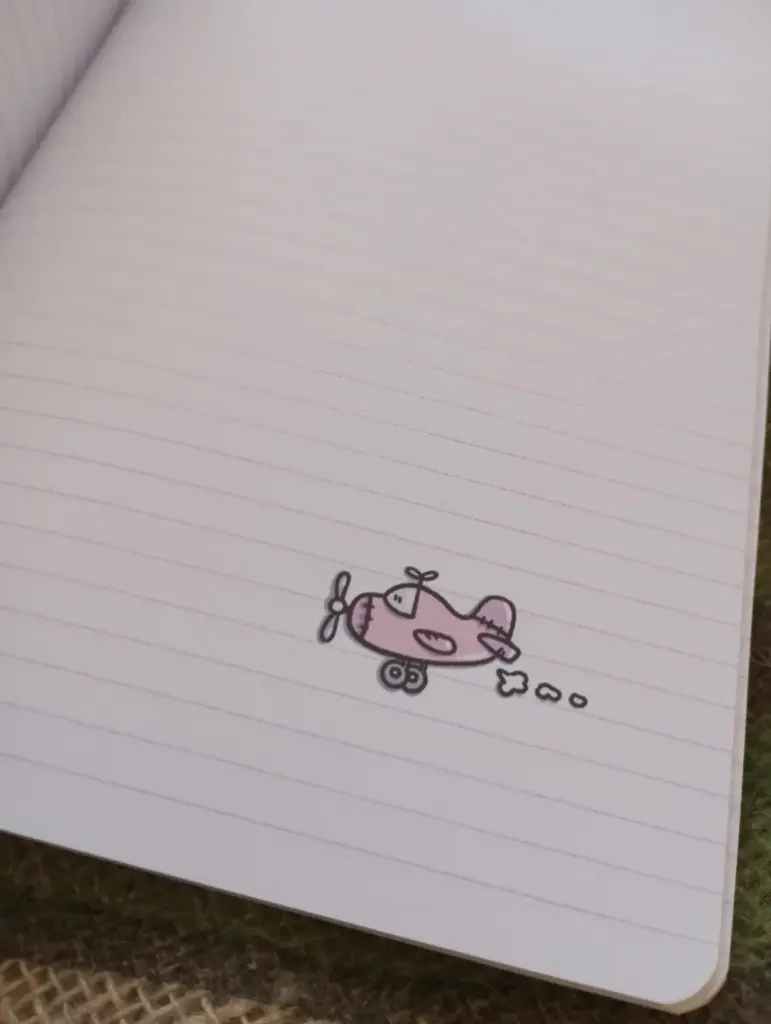 Fogli interni di quaderno fatto a mano illustrato