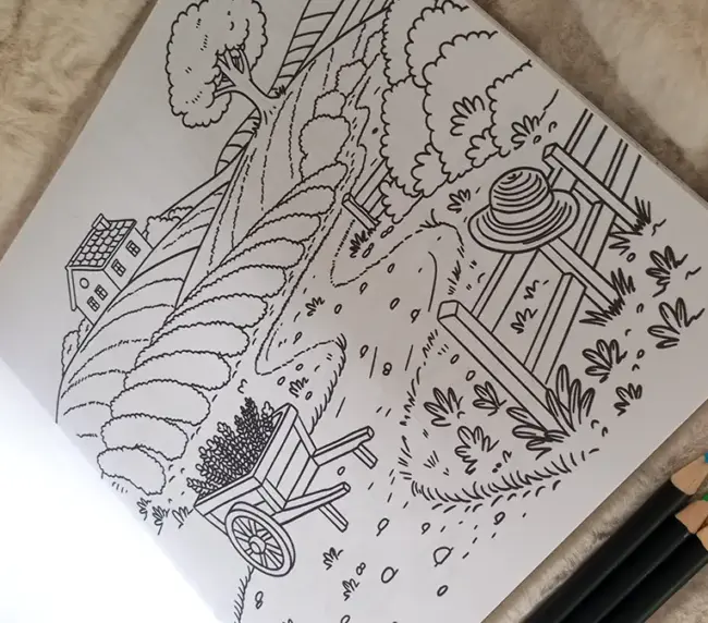 calma l'ansia colorando illustrazione libro campagna